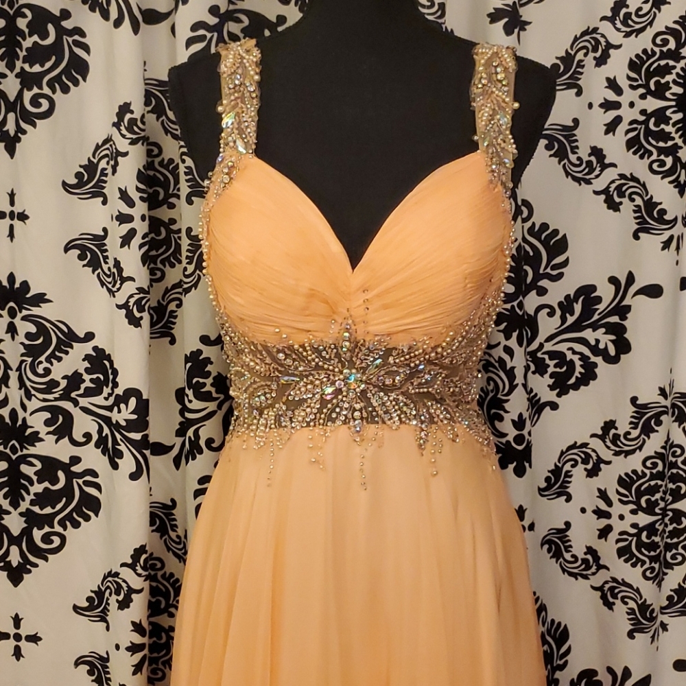 Evening Gown / Prom Dress